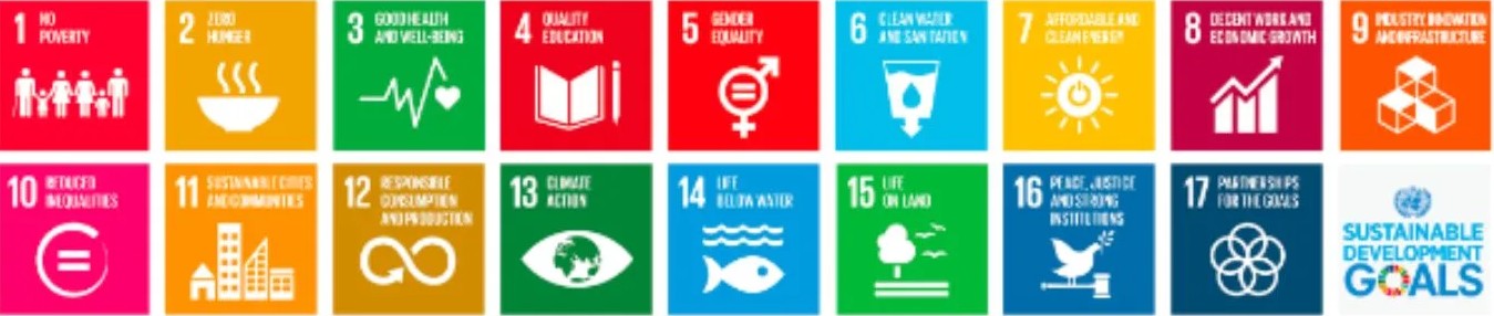 چارچوب اهداف توسعه پایدار نُواکسب (SDG)